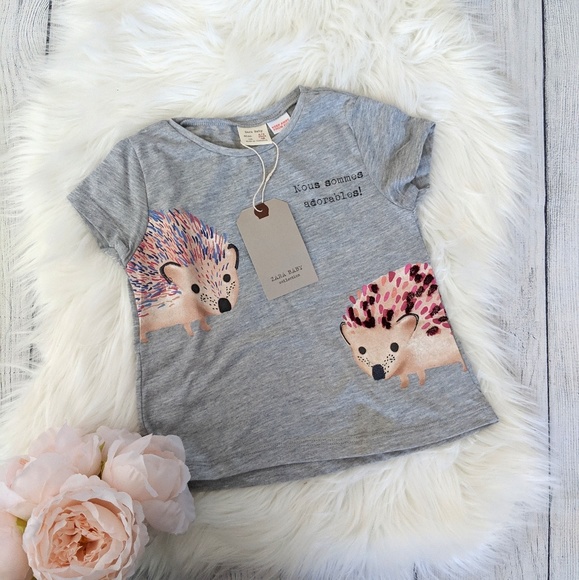 Zara Other - [3 for $15] BNWT Zara Hedgehog Shirt